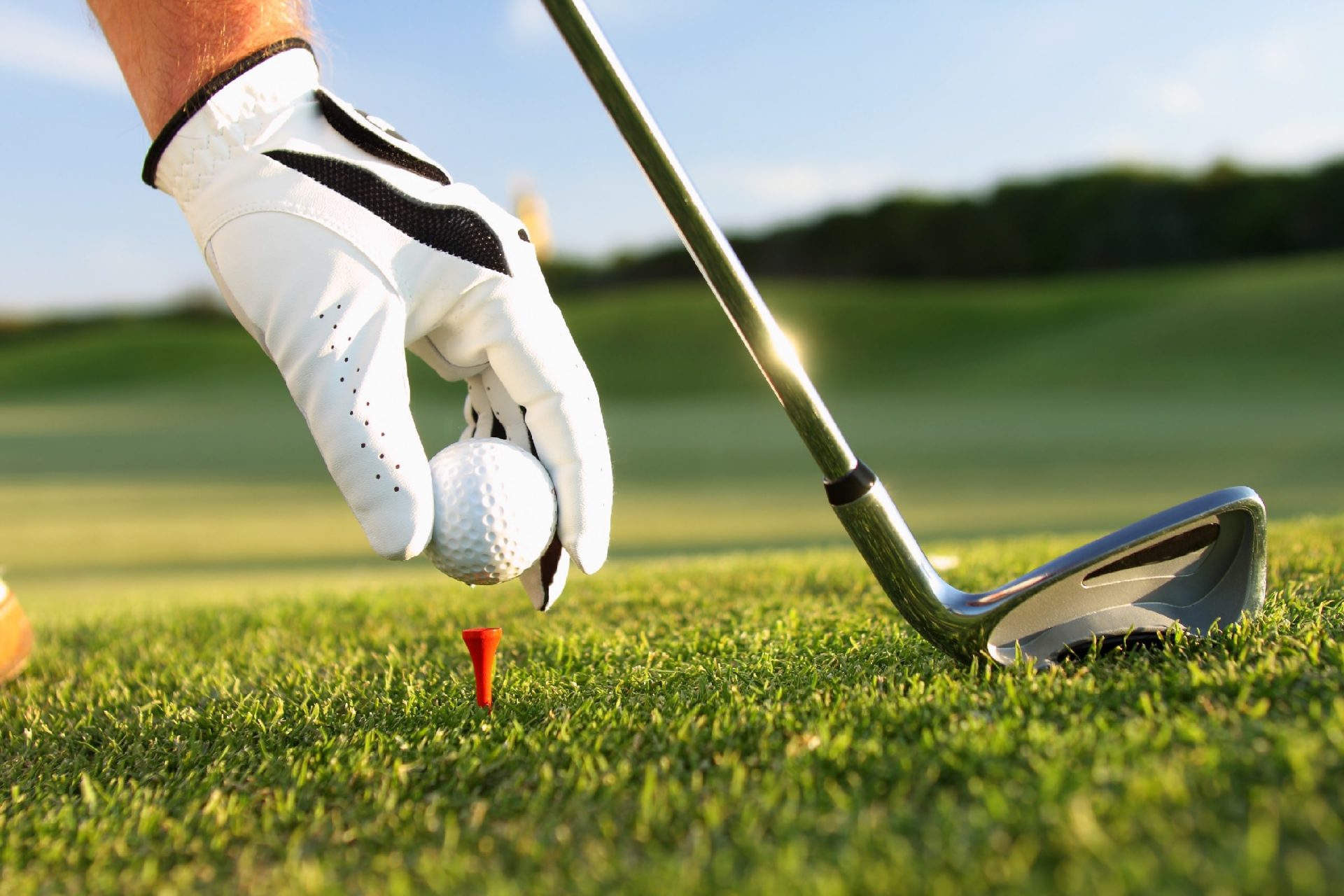 Golf Arrangement