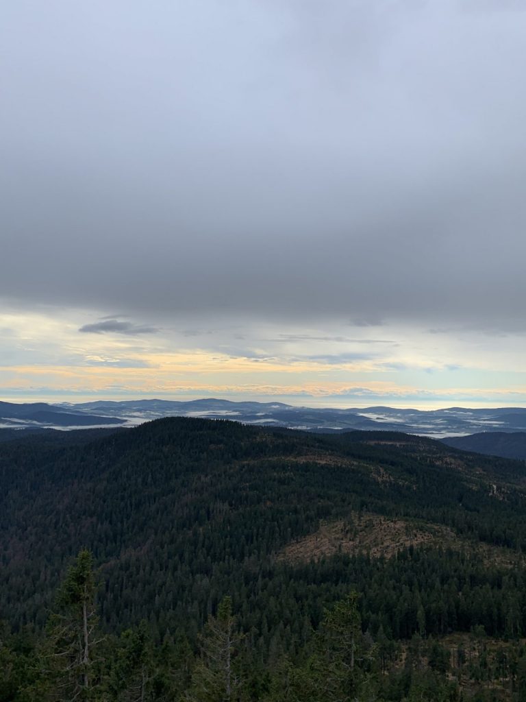 Surroundings