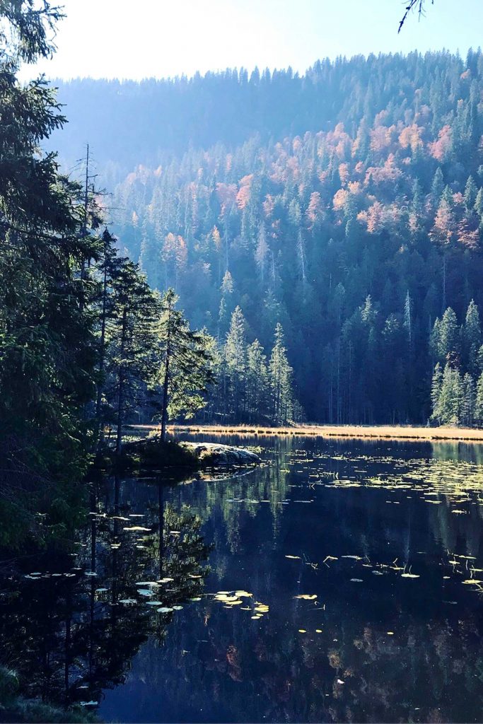 Arbersee