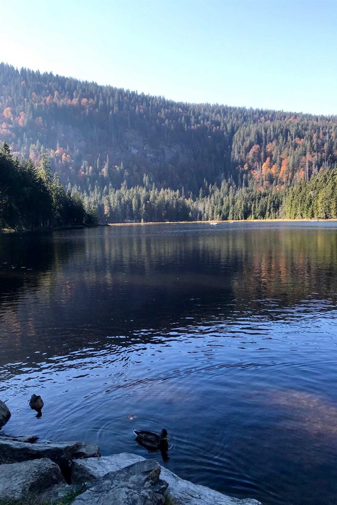 Arbersee