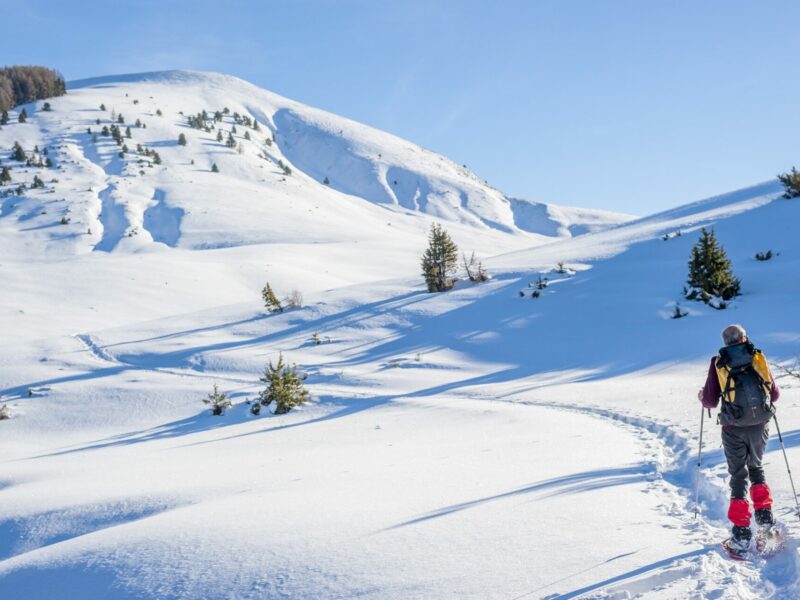 Cross-country skiing