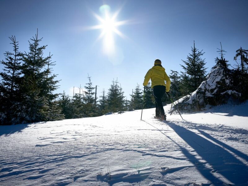 Teambuilding Schneeschuh Schneider events