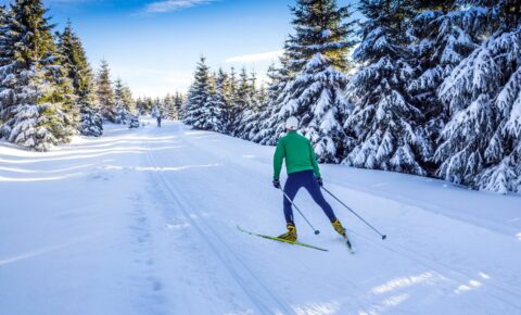 Langlauf Wintersport Langlauf Wintersport