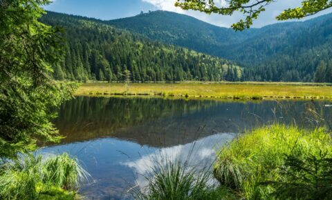 Aktivitäten Aktivitäten