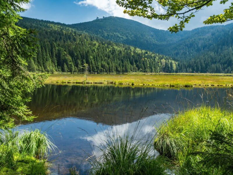 Aktivitäten Aktivitäten