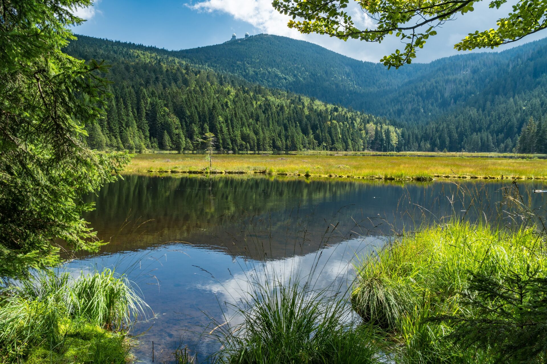 Kleiner Arbersee Im Bayerischen Wald