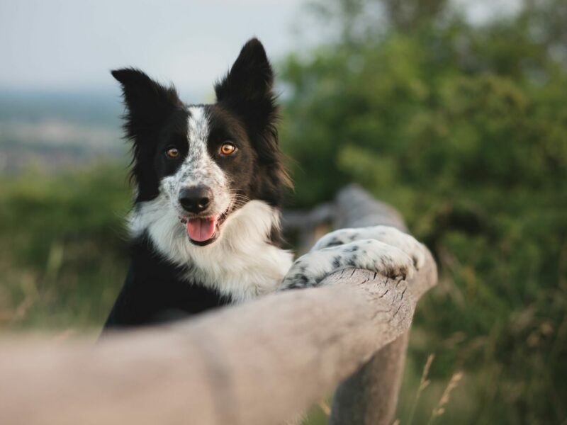 Adobestock 574616478 Adobestock 574616478