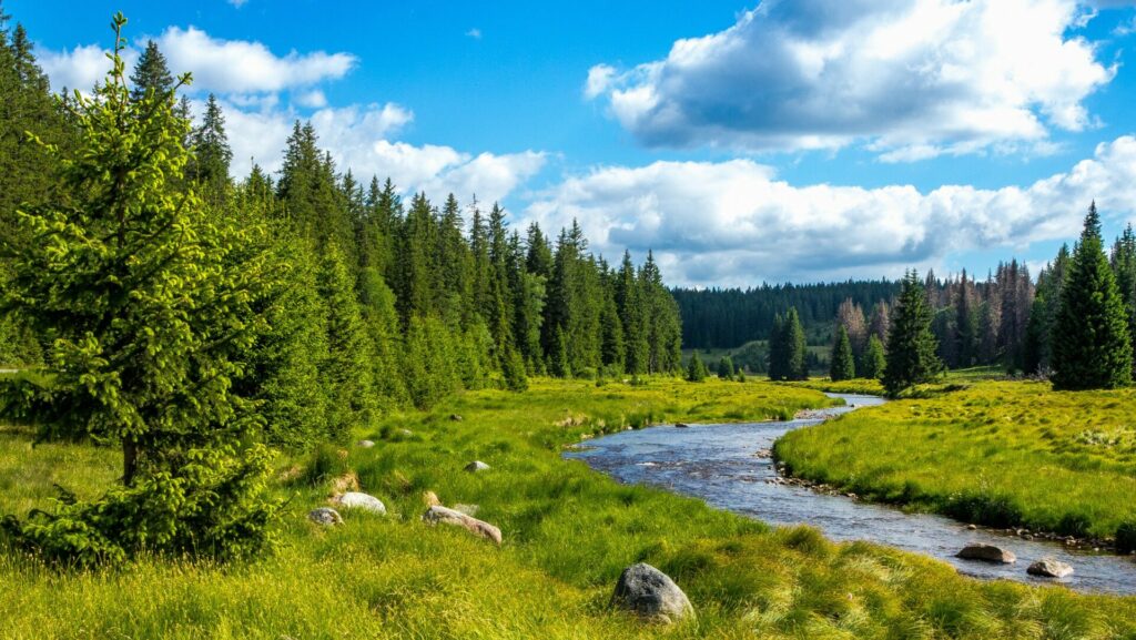 Bayerischer Wald Adobe 1