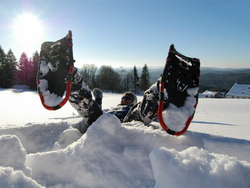 Schneeschuh Fnbw Schneeschuh Fnbw